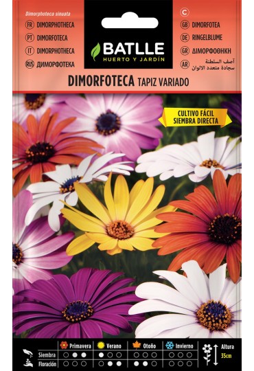 Batlle Dimorfoteca Tapiz Variado