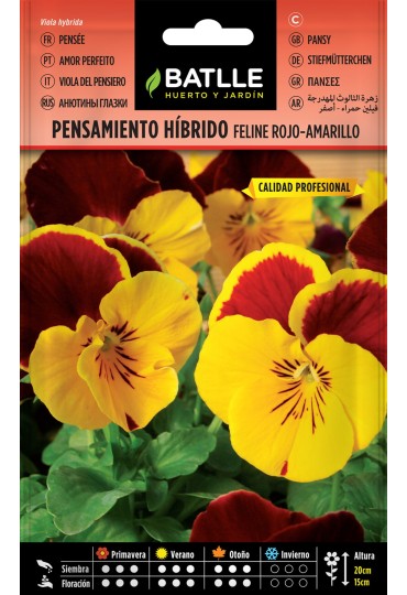 Batlle Pensamiento Hibrid Feline Rojo Amarillo