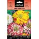 Batlle Zinnia Tigrina