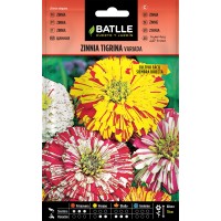 Batlle Zinnia Tigrina