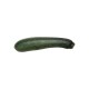 Calabacin Verde Eco M11