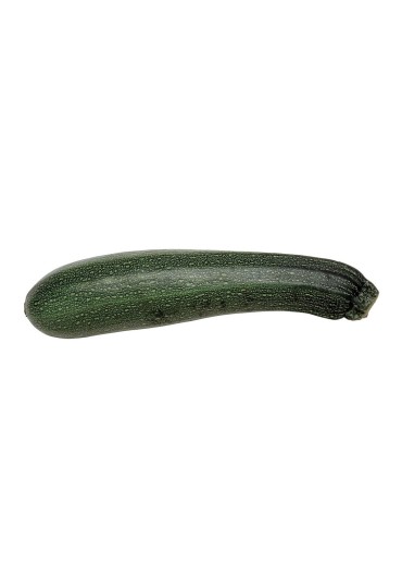 Calabacin Verde Eco M11