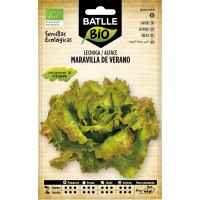 Batlle Lechuga Maravilla De Verano Eco