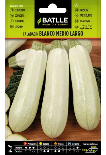 Batlle Semilla Calabacin Blanco Medio Largo