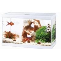ACUARIO CIANO AQUA BLANCO