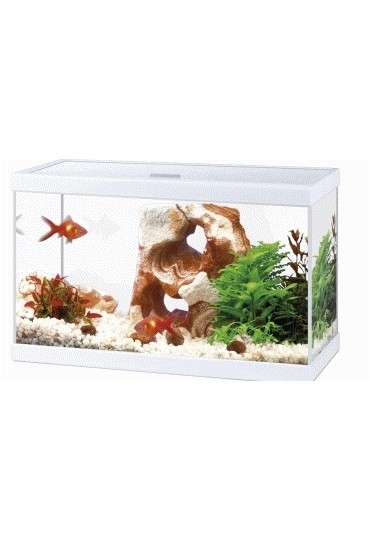 ACUARIO CIANO AQUA BLANCO