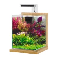 ACUARIO JALAYA 2