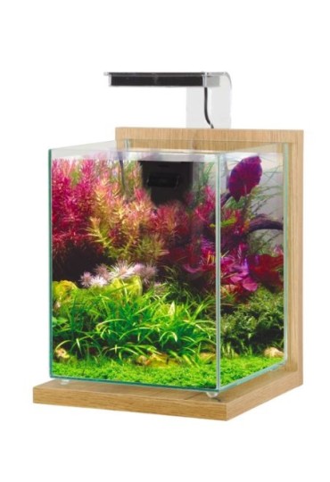 ACUARIO JALAYA 2