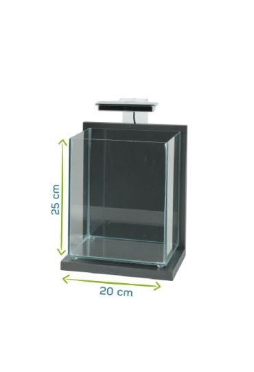 ACUARIO JALAYA 2