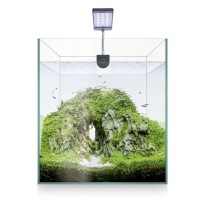 Kit Nano Aquascape Rgb 30X30cm