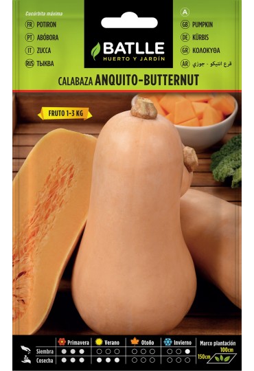 Batlle Semilla Calabaza Anquito Butternut