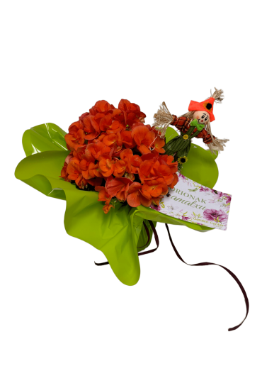 Begonia Regalo Dia De La Madre