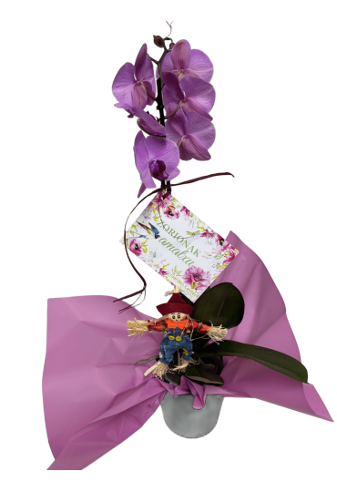 Orquidea Con Maceta  "Día De La Madre"