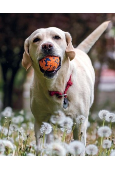 Bloom Pelota Naranja Azul
