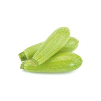 Calabacin Blanco M11