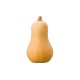 Calabaza Cacahuete M11