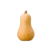 Calabaza Cacahuete M11