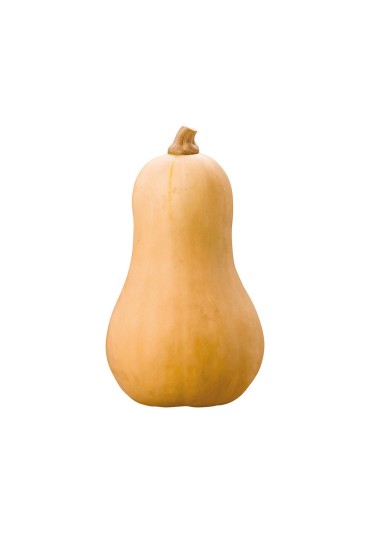 Calabaza Cacahuete M11