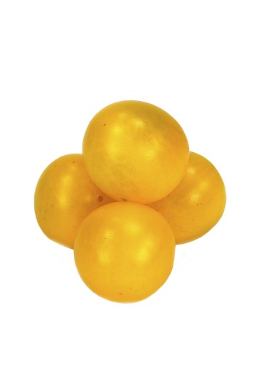 Tomate Cherry Amarillo M11