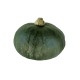 Calabaza Totana M11