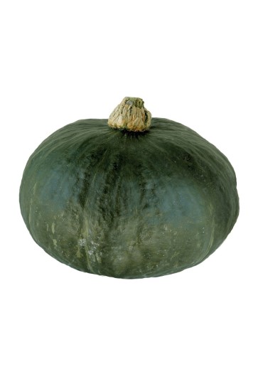 Calabaza Totana M11