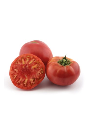 Tomate Morado Pack 6 Eco