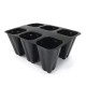 Tomate Morado Pack 6 Eco