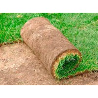 Cesped Natural Tepes 1 M2 (2 Mts. X 0.5 Mts.)