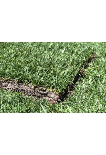 Cesped Natural Tepes 1 M2 (2 Mts. X 0.5 Mts.)