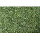 Cesped Natural Tepes 1 M2 (2 Mts. X 0.5 Mts.)