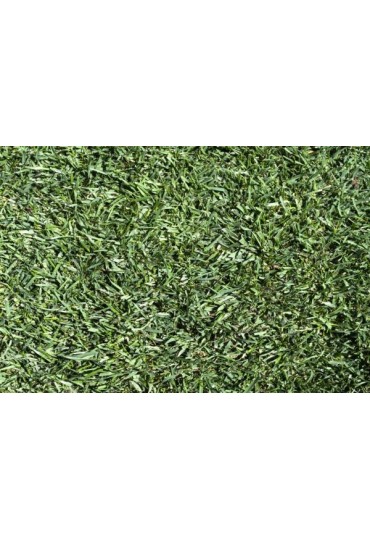 Cesped Natural Tepes 1 M2 (2 Mts. X 0.5 Mts.)