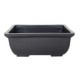 Tiesto Bonsai Plastic 15X10x6cm