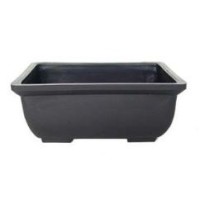 Tiesto Bonsai Plastic 15X10x6cm