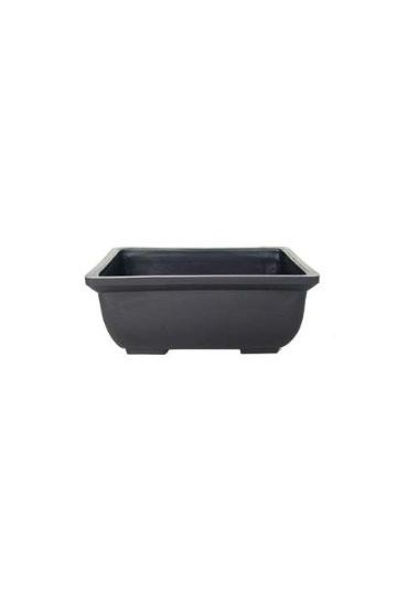 Tiesto Bonsai Plastic 15X10x6cm