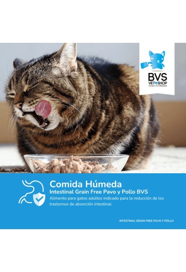 Bvs Diet Gato Intestinal Pavo Y Pollo 150Gr