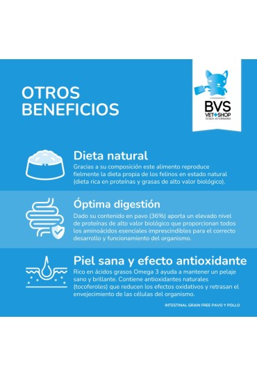 Bvs Diet Gato Intestinal Pavo Y Pollo 150Gr