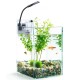 Kit Acuario 10L+Filtro 3W+Luz Clip 1.5W 20X20x25cm