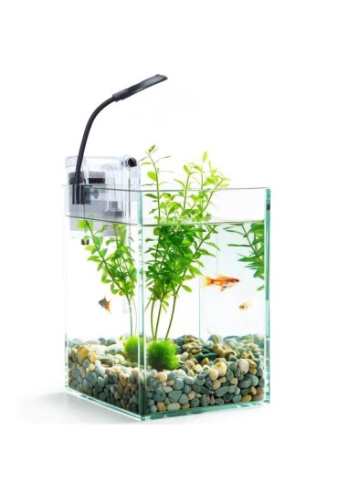 Kit Acuario 10L+Filtro 3W+Luz Clip 1.5W 20X20x25cm