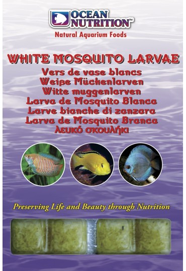 Larva De Mosquito Blanca Glassworm 100Gr.