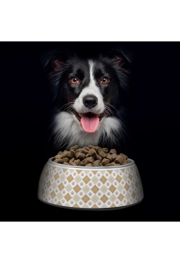 NUTRADOG WILD SALMON PAVO