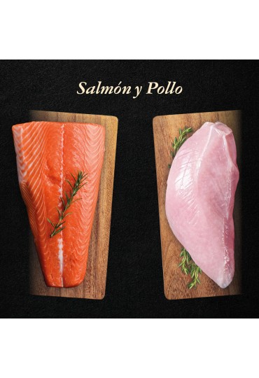 NUTRADOG WILD SALMON PAVO