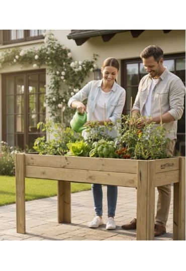 Mesa De Cultivo Xl80 160X80x80cm 220L