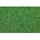Cesped Natural Agrostis Tepes 1 M2 (2 Mts X 0.5 M)
