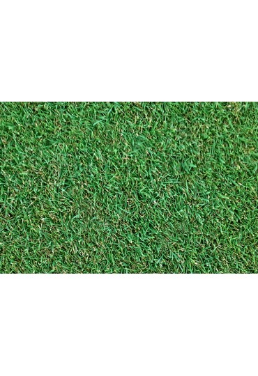 Cesped Natural Agrostis Tepes 1 M2 (2 Mts X 0.5 M)