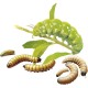 Alimento Reptil Hornworm Paste 80Gr