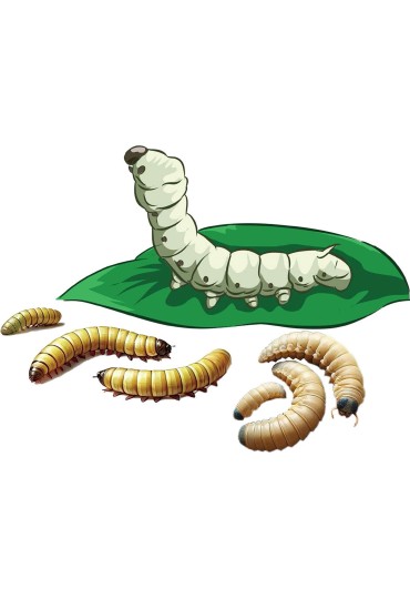 Alimento Reptil Silkworm Paste 80Gr