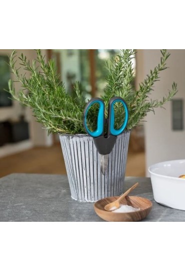 Herbcut Con Funda 12214