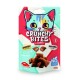 Crunchy Bites Snack Gato Buey 60G