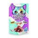 Crunchy Bites Snack Gato Pescado 60G