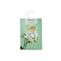 Sached Wild Orchid